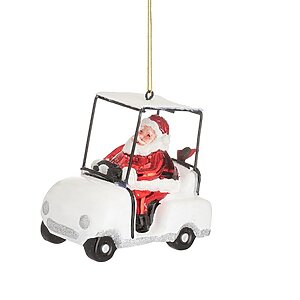 Linxm250 A Santa Golfcart