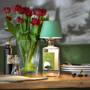 72523 Sompex Lampe Top 3
