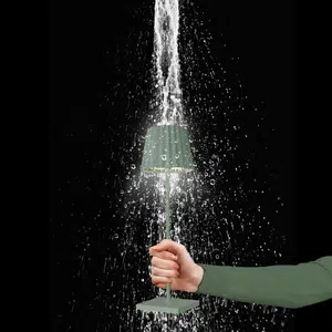 78474 Sompex Lampe Olive 3