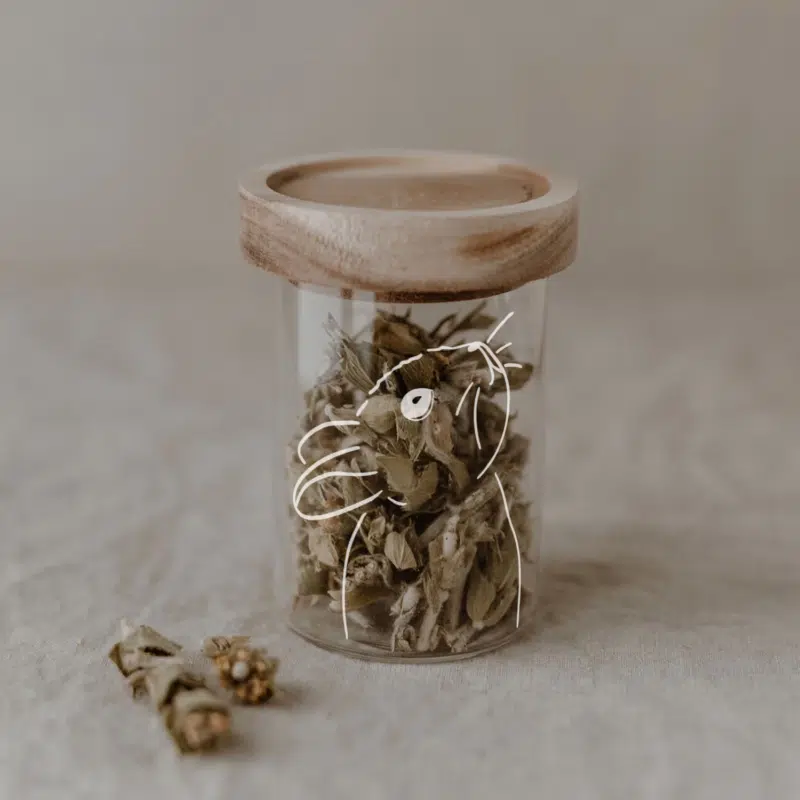 Gl 144 Minivorratsglas Hase Photocredits Maggymelzer 1 1500x1500