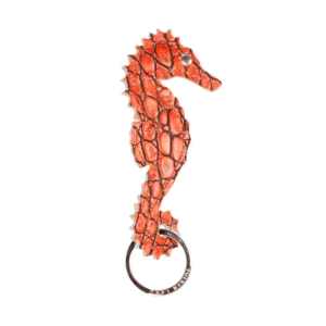 Genial Conceptstore Volker Lang Schluesselring Seahorse