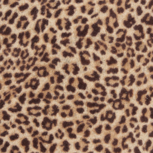 Genial Conceptstore Pur Schoen Schal Leo Galactic 00004