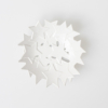 Genial Conceptstore Raeder Schale