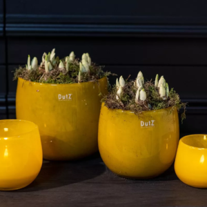 Dutz Vase Teelicht Pot M Ochre Gelb Dutz Ambiente Pot Ochre