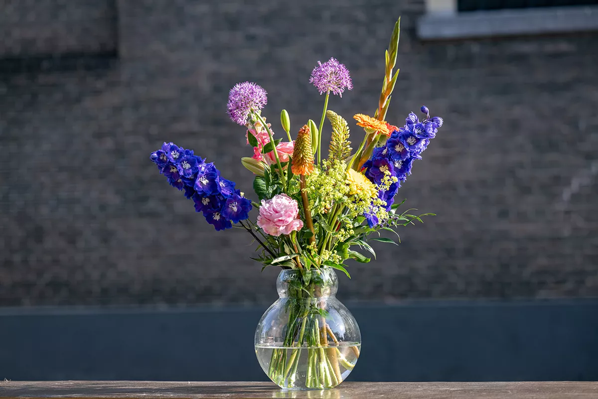 Dutz Vase Bolki Klar Dutz Bolki Clear 1