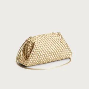 Champagne Satin Gold Pouch
