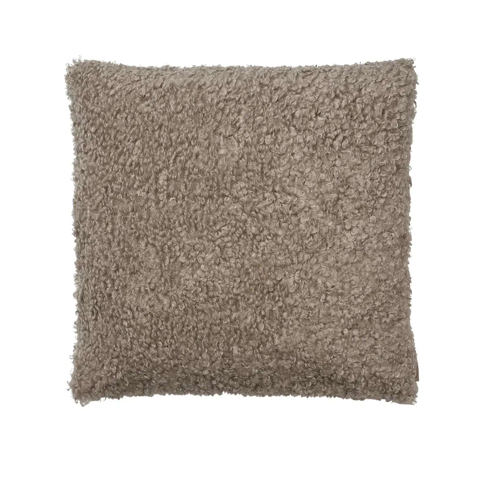68098 01 Teddy Overlay