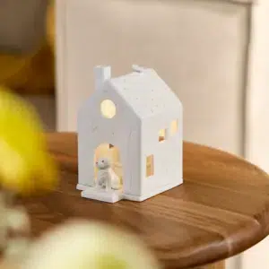 Räder Lichthaus Hund