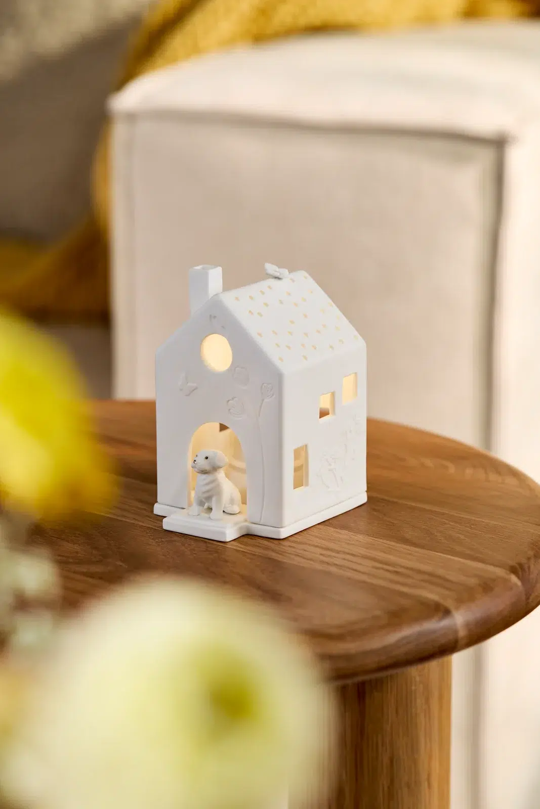 Räder Lichthaus Hund