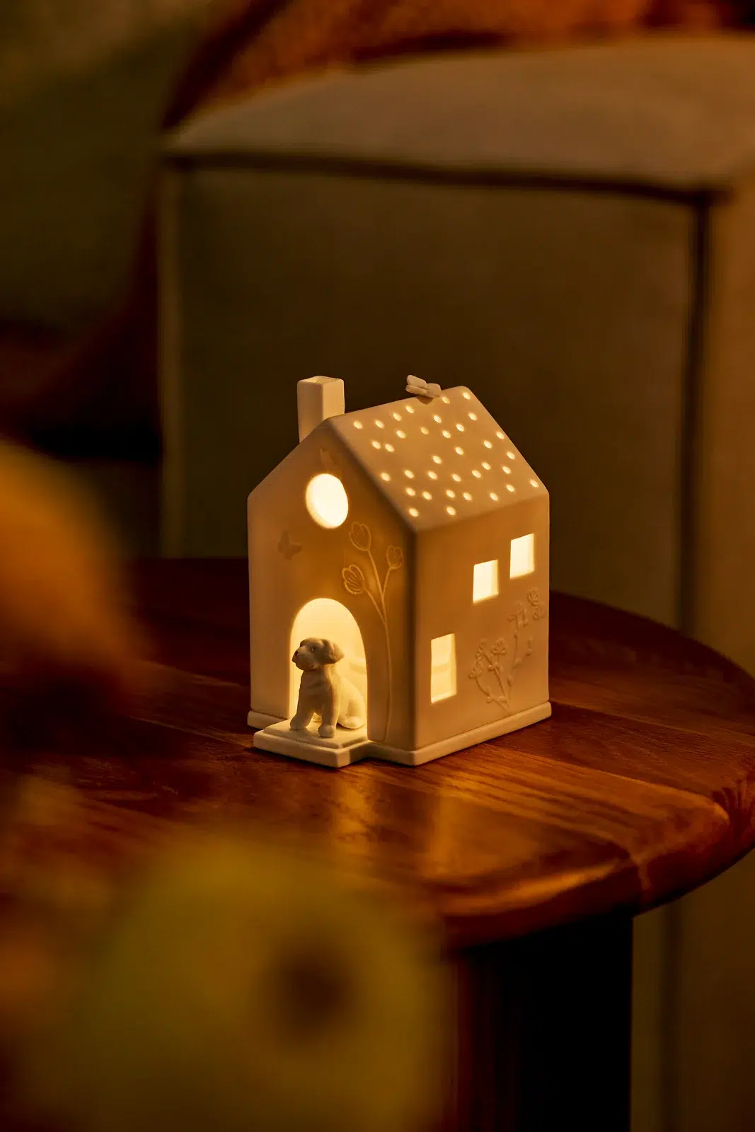 Räder Lichthaus Hund