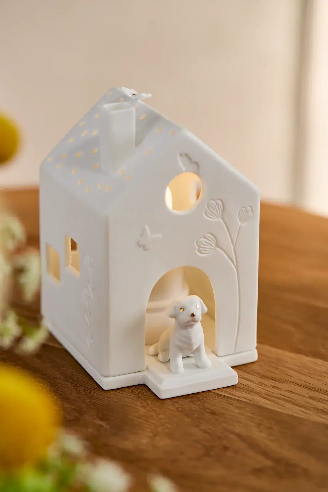 Räder Lichthaus Hund