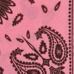 PURSCHOEN Bandana Paisley Bloom big Pink-Chocolate