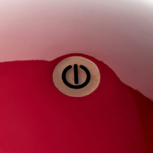 Lt1009 Button.jpg