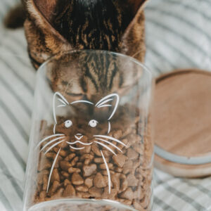 Eulenschnitt Vorratsglas „Katze“ 13 cm