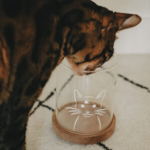 Eulenschnitt Vorratsglas „Katze“ 13 cm