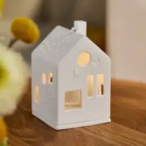 Räder Lichthaus Hund