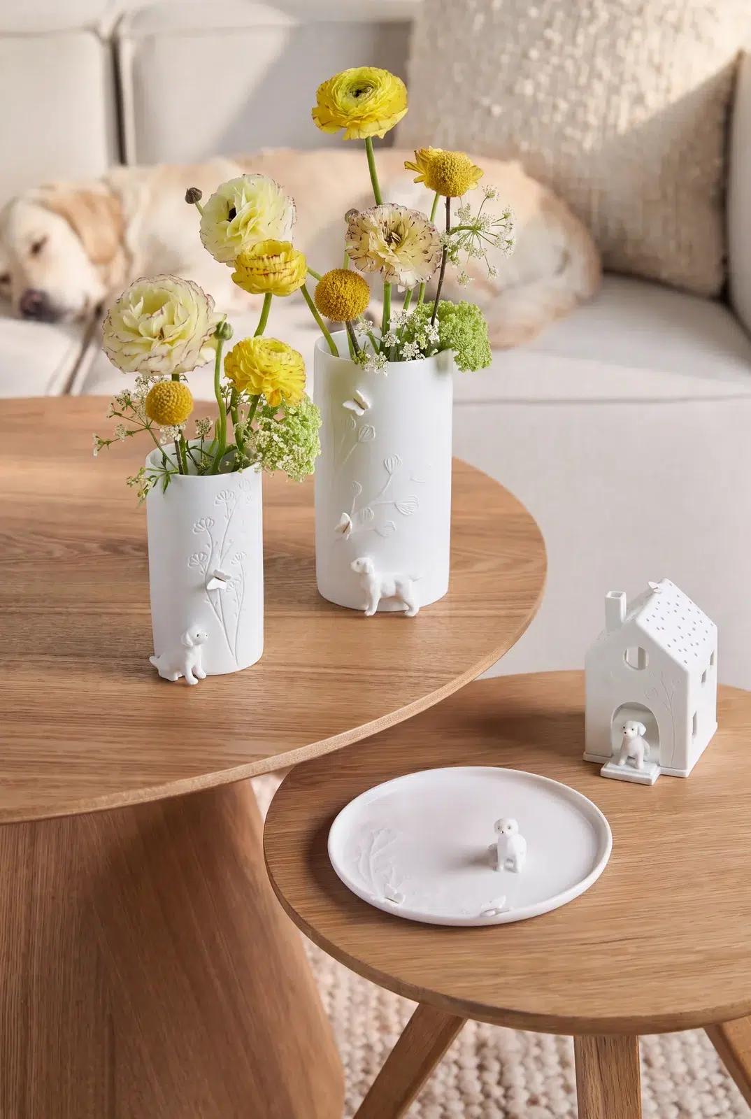Räder Lichthaus Hund